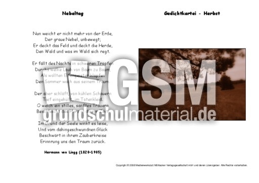 Nebeltag-Lingg.pdf